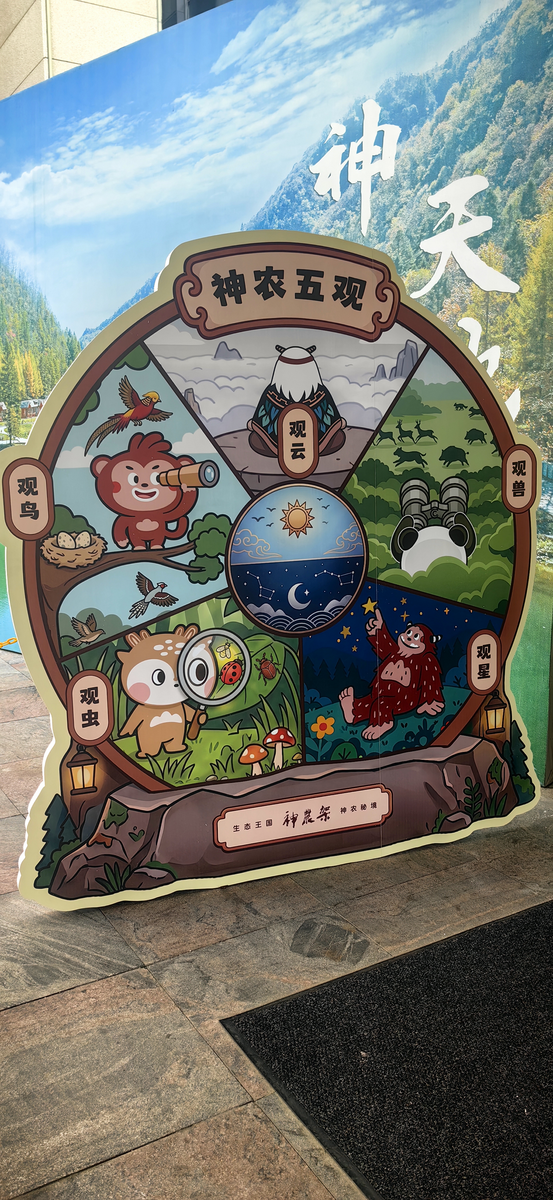 虫鸣秘境，微境共生——发现神农架观虫的灵动之美